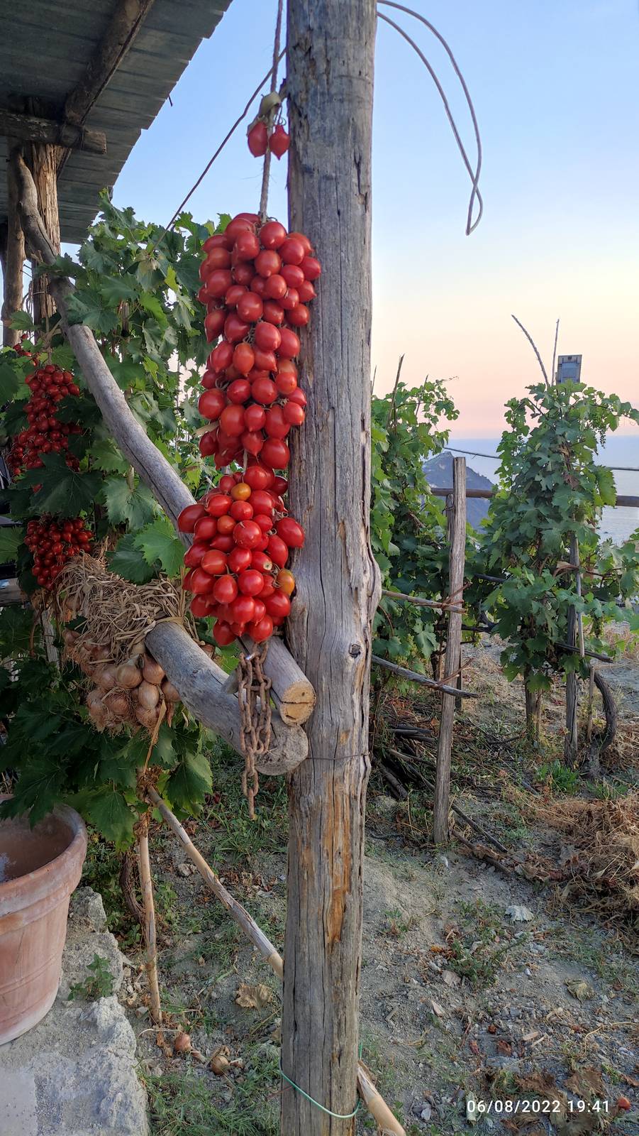 Pomodori