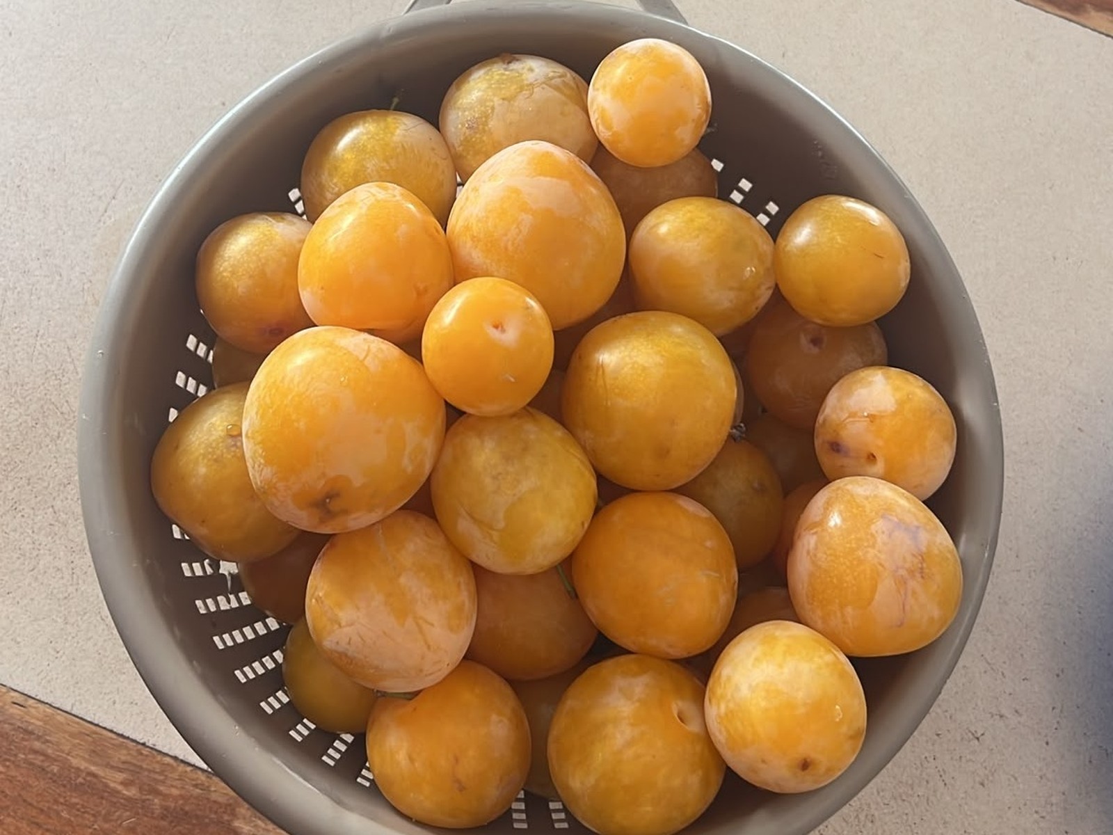 Prugne