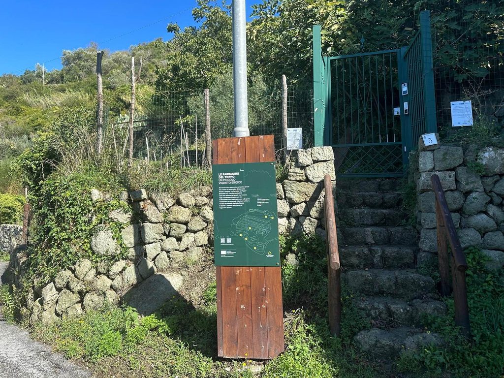Cartello verde con la mappa del vigneto accanto alla scala in pietra e al cancello d'ingresso